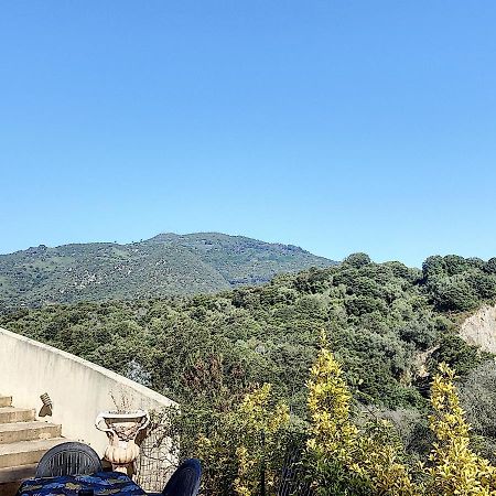 Grand Appartement Spacieux A 5 Min Du Centre Ville Ajaccio  Exterior foto